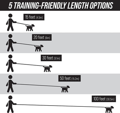 Free Range - Long Dog Leash for Large Dogs + Drawstring Backpack - 1 Inch Nylon Training Lead with Padded Handle (Black) (30 Ft)
